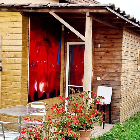 Cabane Cote Jardin Toulouse Exteriör bild
